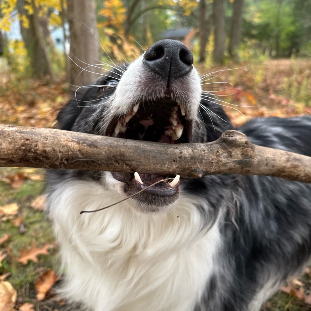 Meet your Posher, Emma